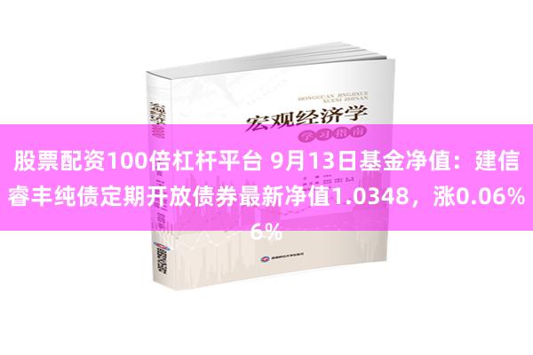 股票配资100倍杠杆平台 9月13日基金净值：建信睿丰纯债定期开放债券最新净值1.0348，涨0.06%