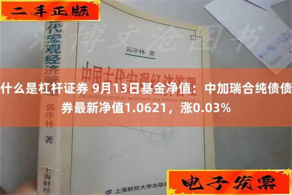 什么是杠杆证券 9月13日基金净值：中加瑞合纯债债券最新净值1.0621，涨0.03%