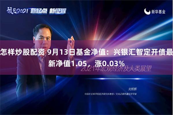 怎样炒股配资 9月13日基金净值：兴银汇智定开债最新净值1.05，涨0.03%