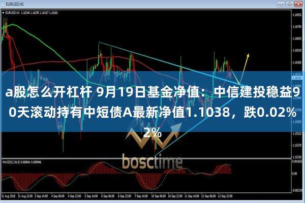 a股怎么开杠杆 9月19日基金净值：中信建投稳益90天滚动持有中短债A最新净值1.1038，跌0.02%