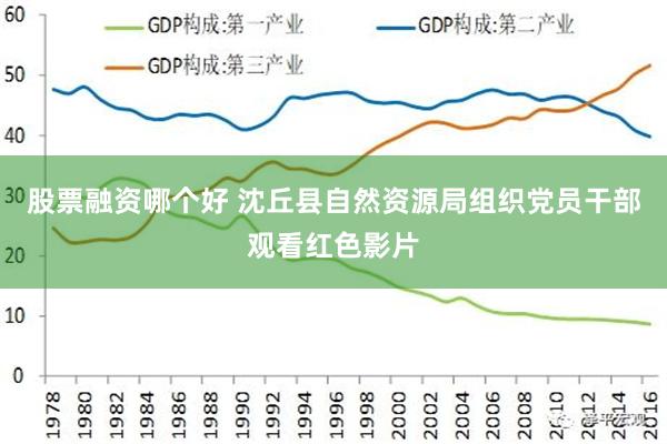 股票融资哪个好 沈丘县自然资源局组织党员干部观看红色影片