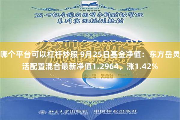 哪个平台可以杠杆炒股 9月25日基金净值：东方岳灵活配置混合最新净值1.2964，涨1.42%