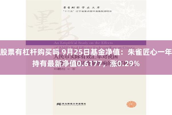 股票有杠杆购买吗 9月25日基金净值：朱雀匠心一年持有最新净值0.6177，涨0.29%