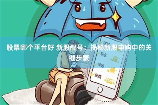 股票哪个平台好 新股配号：揭秘新股申购中的关键步骤