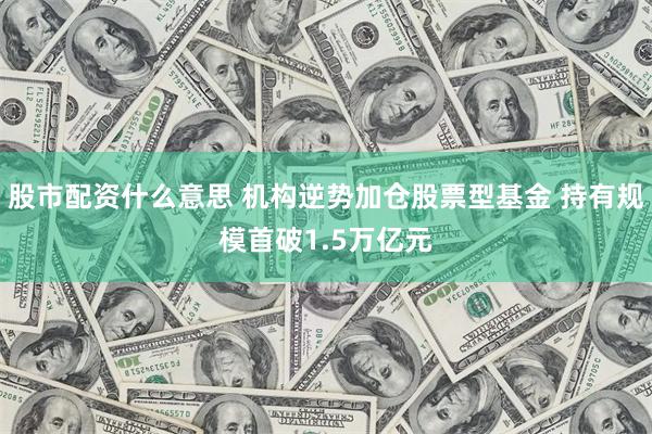 股市配资什么意思 机构逆势加仓股票型基金 持有规模首破1.5万亿元