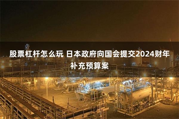 股票杠杆怎么玩 日本政府向国会提交2024财年补充预算案