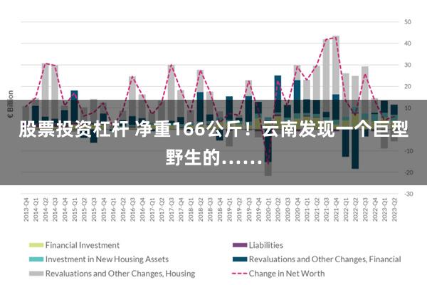 股票投资杠杆 净重166公斤！云南发现一个巨型野生的……