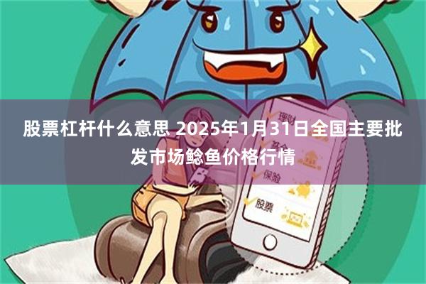 股票杠杆什么意思 2025年1月31日全国主要批发市场鲶鱼价格行情