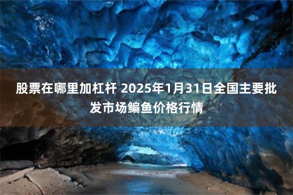 股票在哪里加杠杆 2025年1月31日全国主要批发市场鳊鱼价格行情